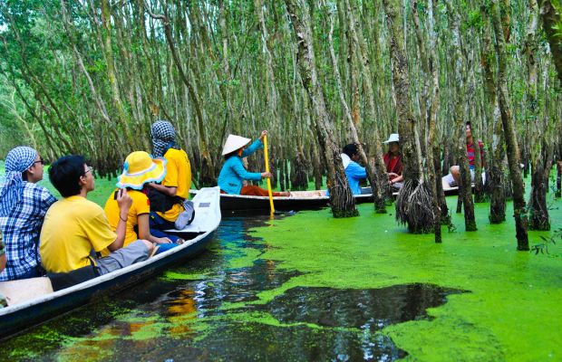 Boat tour in the Tra Su Melaleuca Forest